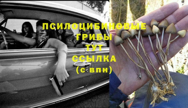 a pvp Беломорск