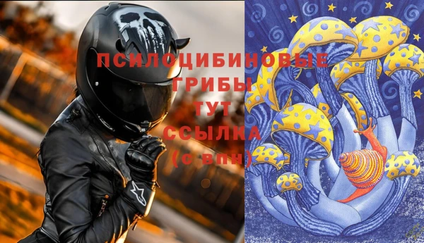 a pvp Беломорск