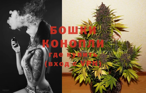 прущие крисы Белокуриха