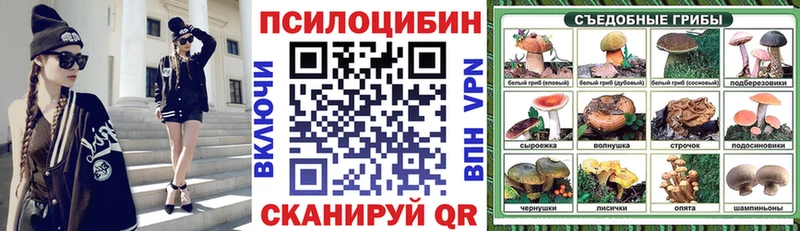 MEGA маркетплейс  Шебекино  Псилоцибиновые грибы GOLDEN TEACHER  как найти закладки 